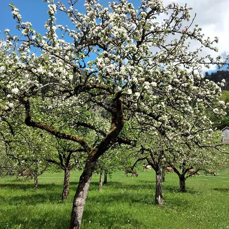 Haus Brigitte Apartment *