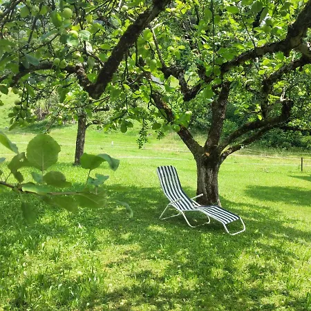 Haus Brigitte アパート *